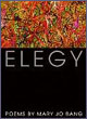 Elegy