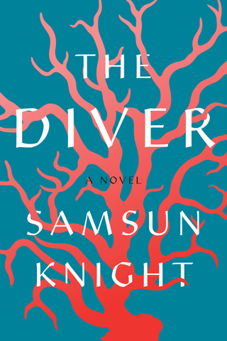 the diver book cover