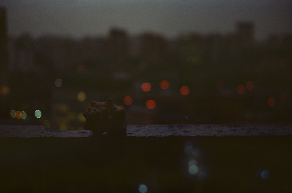 Dark and moody photo of landscape.